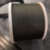 Cáp thép tải thang máy phi 9.5 9 cáp thép tải thang máy phi 9.5